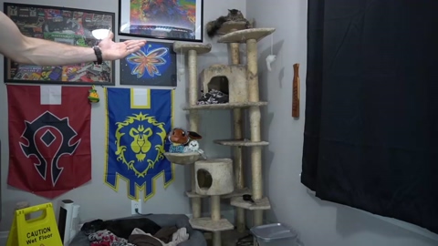 sydaffect  20-08-2022 video natural