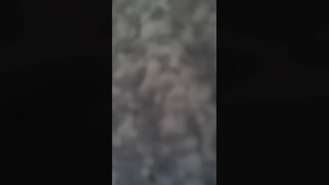 DDTM2521  21-08-2022 Recorded Video bigtoys