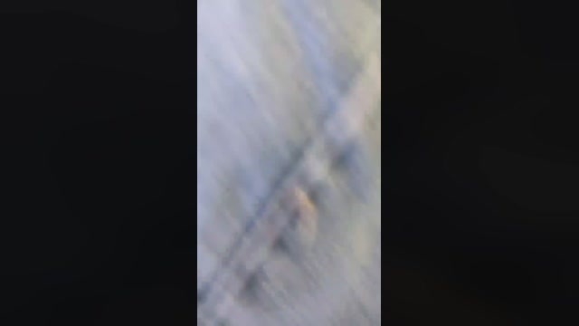 Mirko035  21-08-2022 Recorded Video bigballs