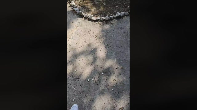 Mirko035  21-08-2022 Recorded Video orgasm