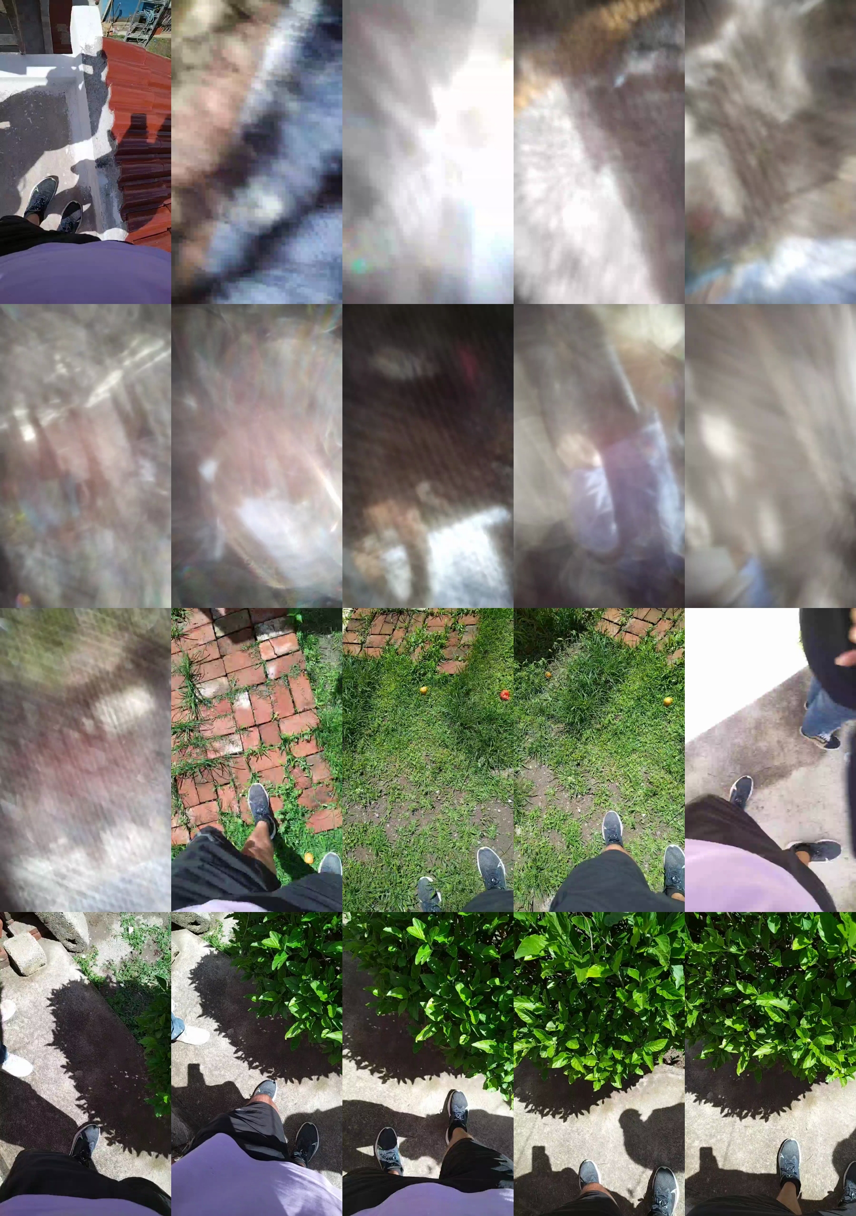 Sam2395  20-08-2022 Recorded Video sweet