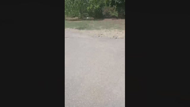 edgar3014  21-08-2022 Recorded Video hard