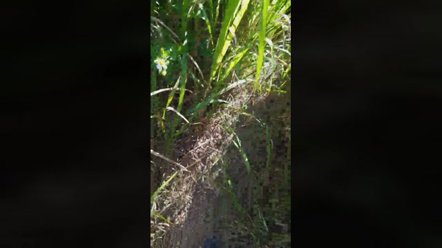 tarcton78  21-08-2022 Recorded Video Recorded