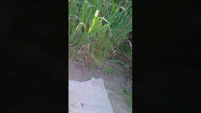tarcton78  21-08-2022 Recorded Video big