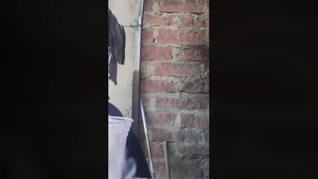 NutriOliver  21-08-2022 Recorded Video sexybody