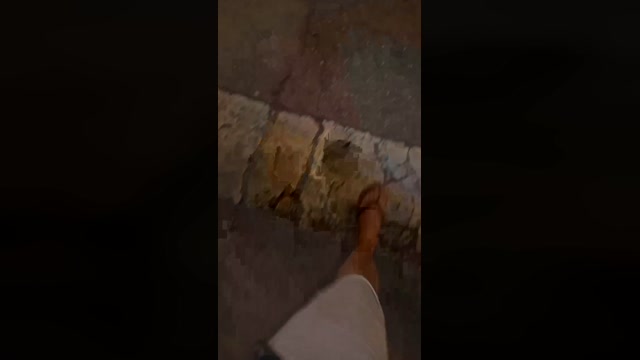 Public___  21-08-2022 Recorded Video toys