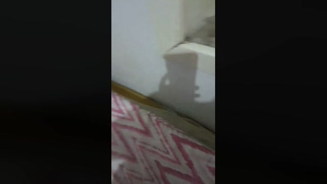 Virgowaf  22-08-2022 Recorded Video nasty