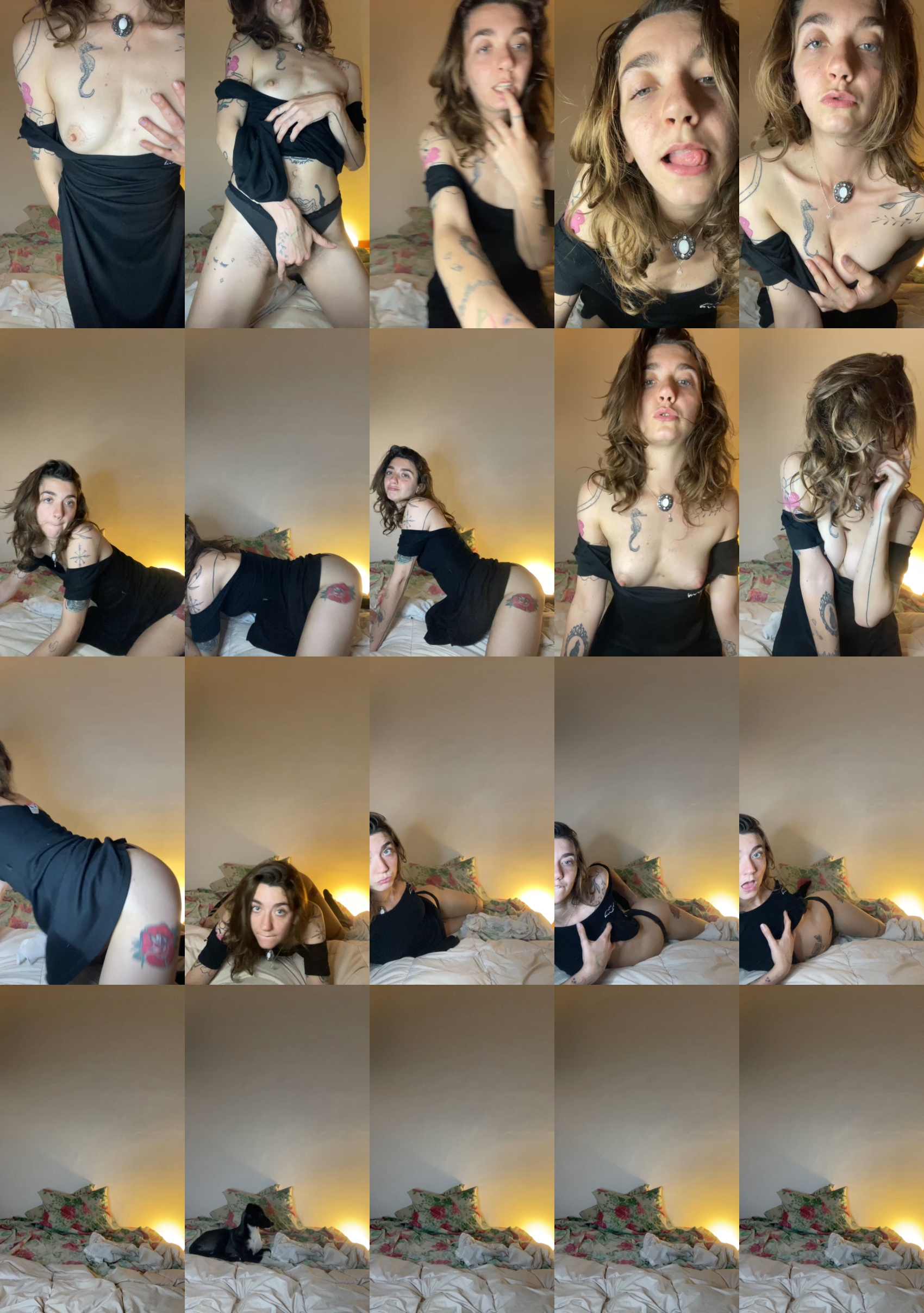 Preview