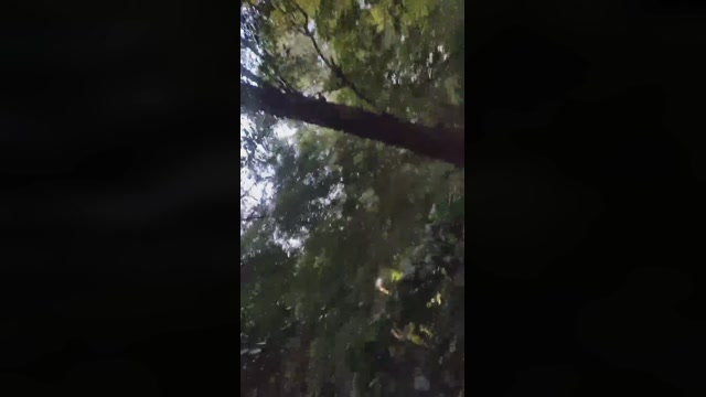 Morenosp2021  22-08-2022 Recorded Video moan