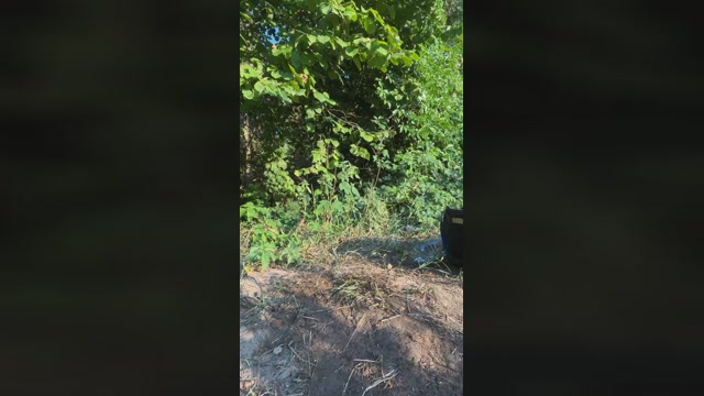 aleeex98  22-08-2022 Recorded Video Cam