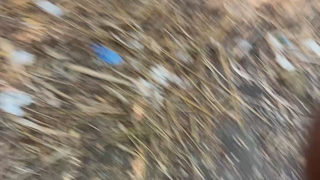 alexdvd  22-08-2022 Recorded Video jerkoff