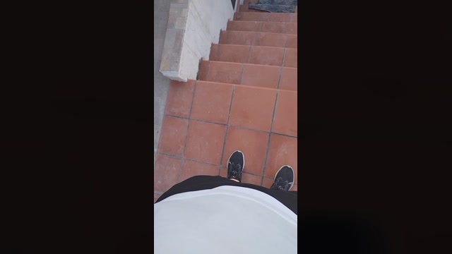 Sam2395  24-08-2022 Recorded Video play