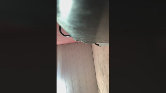 hal4elson  24-08-2022 Recorded Video kink