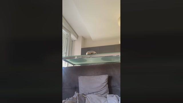 ElTotorino  25-08-2022 Recorded Video striptease