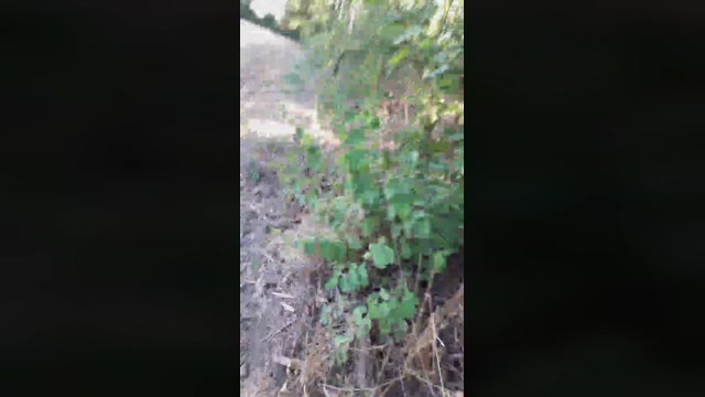 widder35  24-08-2022 Recorded Video legs