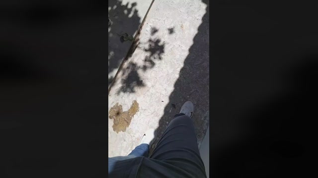 Sam2395  25-08-2022 Recorded Video harddick