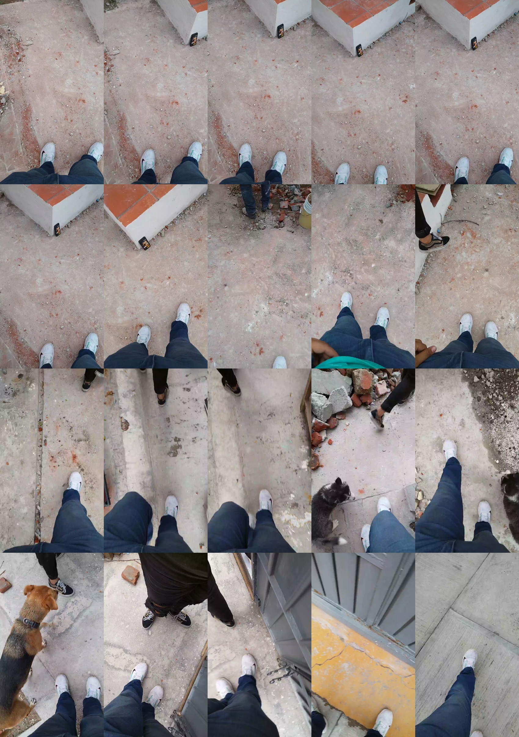 Sam2395  25-08-2022 Recorded Video analtoy