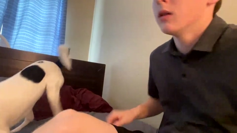 kal79152  25-08-2022 video oral