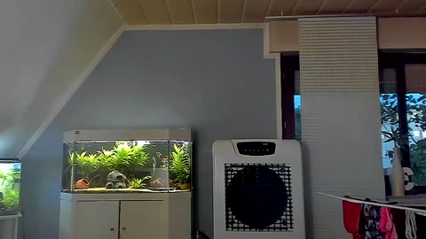 ronhill13  25-08-2022 Recorded Video fuckass