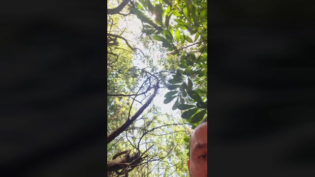 Ionmu  27-08-2022 Recorded Video ass