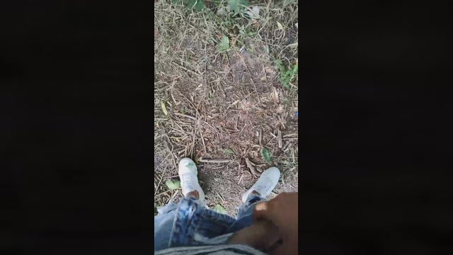 Mirko035  27-08-2022 Recorded Video big