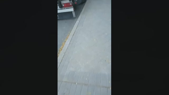 Public___  26-08-2022 Recorded Video bj-dildo