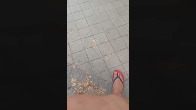 Public___  26-08-2022 Recorded Video moan