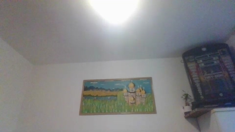 Toyjunge  27-08-2022 Recorded Video Topless