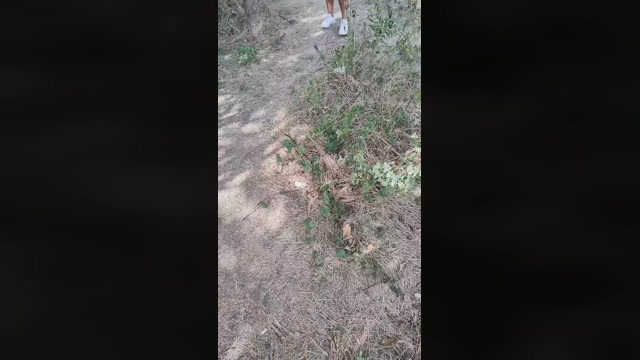 emanuele033  27-08-2022 Recorded Video Cam