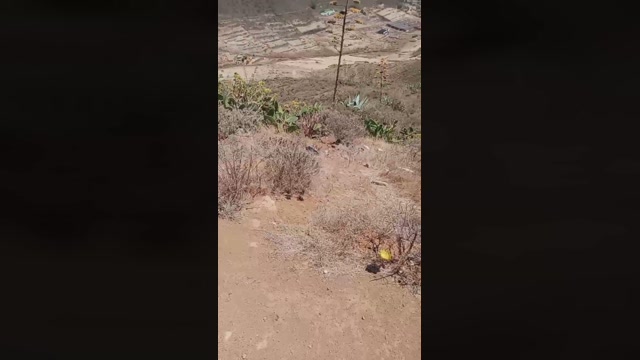 kinkis_amos  27-08-2022 Recorded Video Pretty