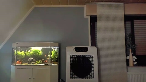 ronhill13  26-08-2022 Recorded Video kissing