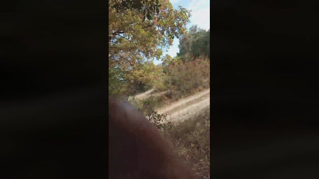 Gastea1  27-08-2022 Recorded Video handsome