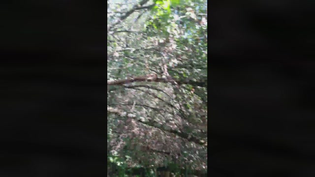dauf50  28-08-2022 Recorded Video sweet