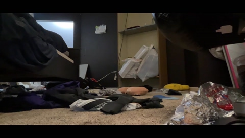 jimmylol42  28-08-2022 video fuckass