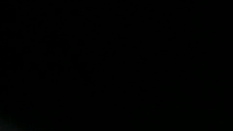 lovwank  28-08-2022 Recorded Video legs