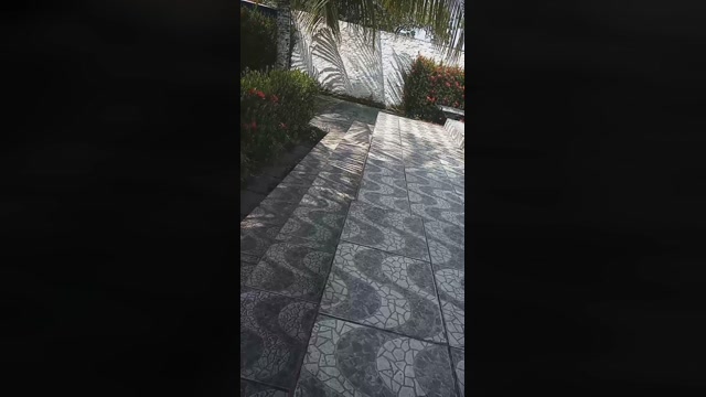 Naaabrisa 29-08-2022 Wet 
