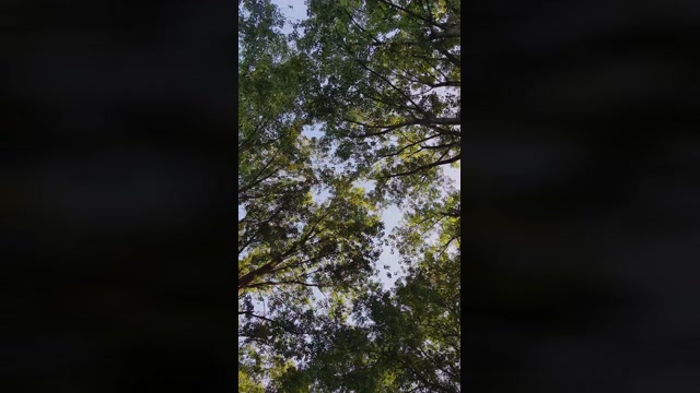 SlutboyBen  28-08-2022 Recorded Video Naked