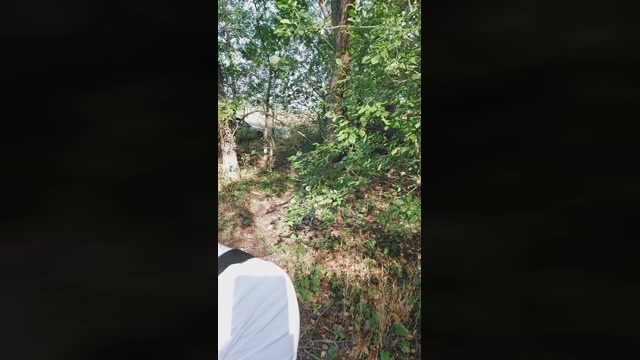 Zeus__xXx  29-08-2022 Recorded Video show