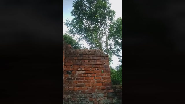 chiranjitho1  29-08-2022 Recorded Video Recorded