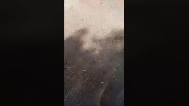 kinkis_amos  28-08-2022 Recorded Video yummy
