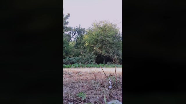SlutboyBen  29-08-2022 Recorded Video horny