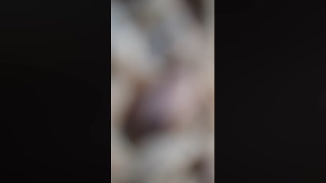 Toparosxl  30-08-2022 Recorded Video jackoff