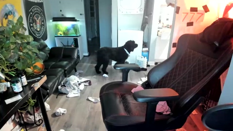 bashful4200  29-08-2022 video Show