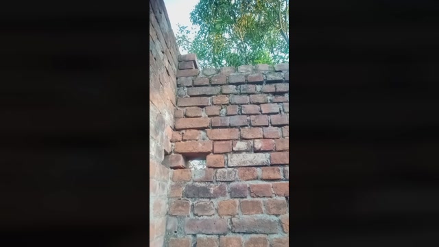 chiranjitho1  30-08-2022 Recorded Video bigballs