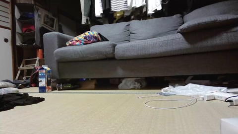 kawazuri0721  30-08-2022 Recorded Video beauty