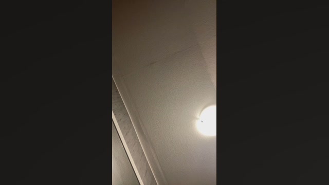BigRainbowCock  31-08-2022 Recorded Video strip