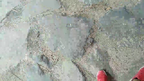 Pabloysebas  31-08-2022 Recorded Video sexy