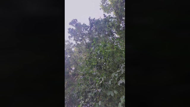 SlutboyBen  30-08-2022 Recorded Video hot