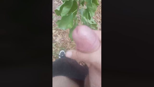 polladulce17  31-08-2022 Recorded Video bigdick