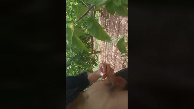 polladulce17  31-08-2022 Recorded Video bigtoys